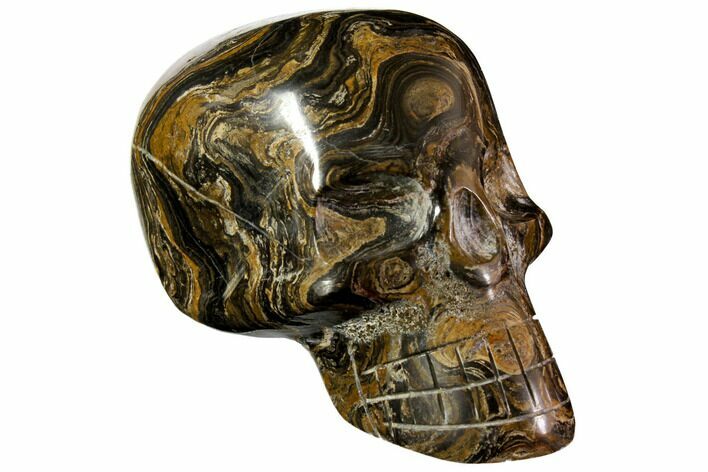 Polished Stromatolite (Greysonia) Skull - Bolivia #113541